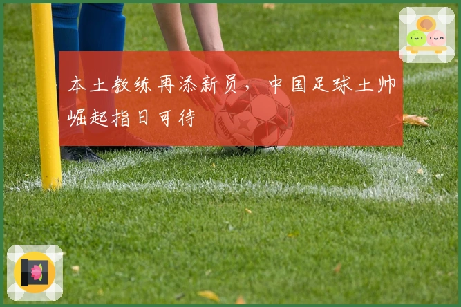 本土教练再添新员，中国足球土帅崛起指日可待