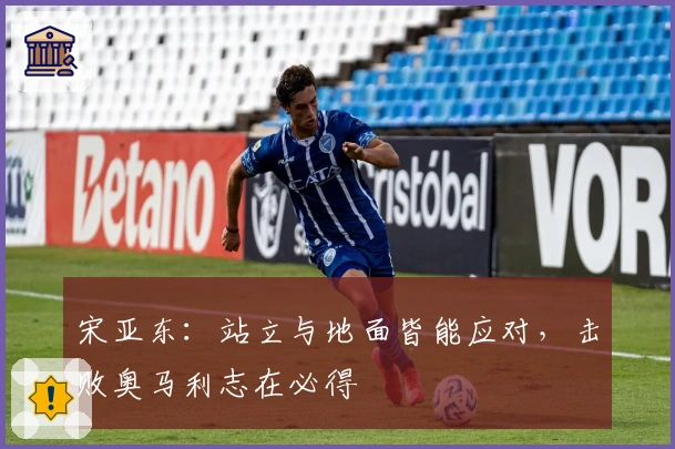 宋亚东：站立与地面皆能应对，击败奥马利志在必得