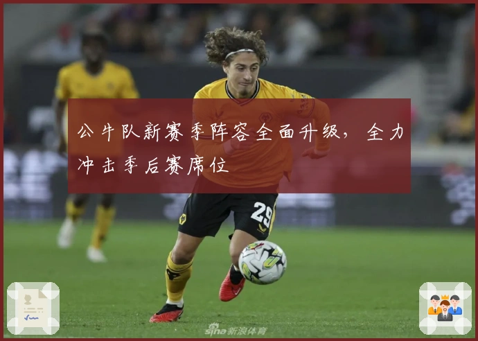 公牛队新赛季阵容全面升级，全力冲击季后赛席位