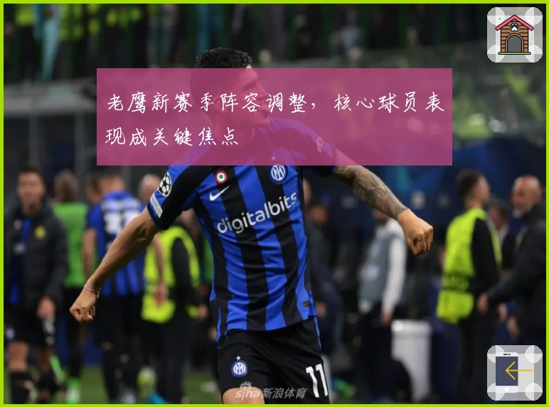 老鹰新赛季阵容调整，核心球员表现成关键焦点