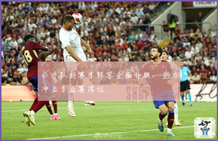 公牛队新赛季阵容全面升级，全力冲击季后赛席位